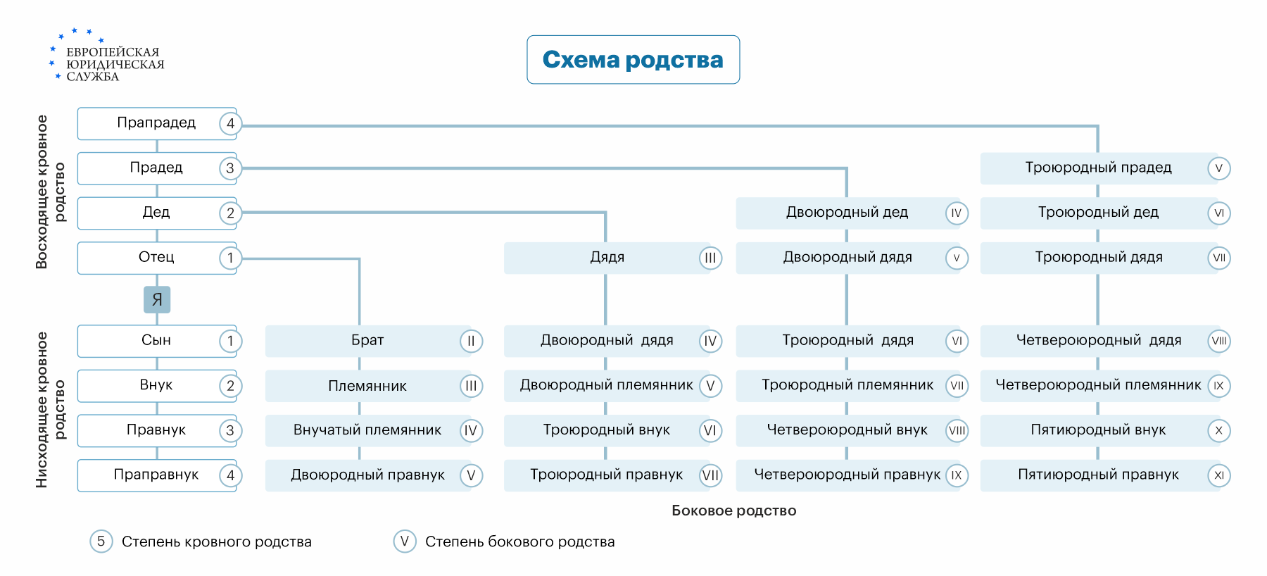 Кто такие шурин, деверь и сноха: раз­бираемся в родстве­нниках