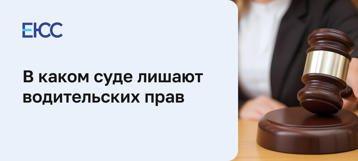 Решение суда о лишении водительских прав