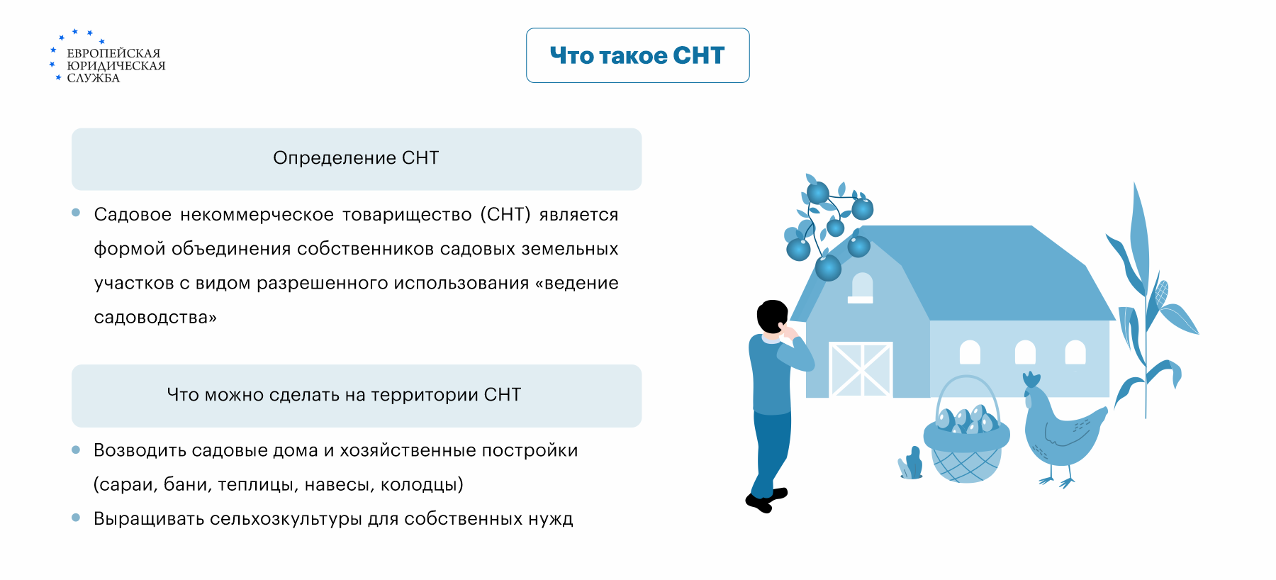 Пошаговая инструкция покупки участка в СНТ