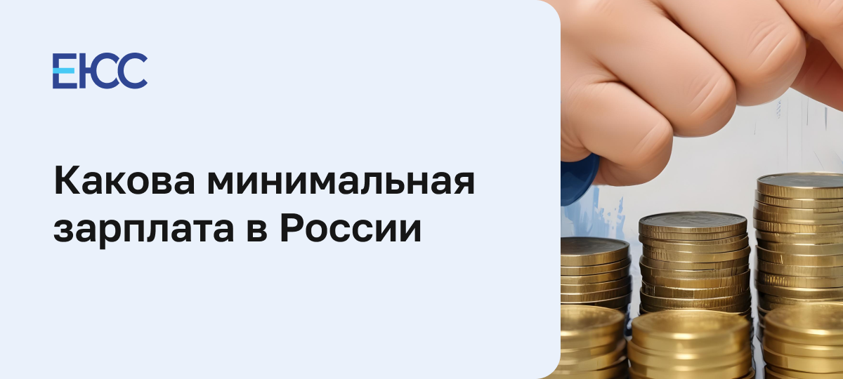Минимальная зарплата в России