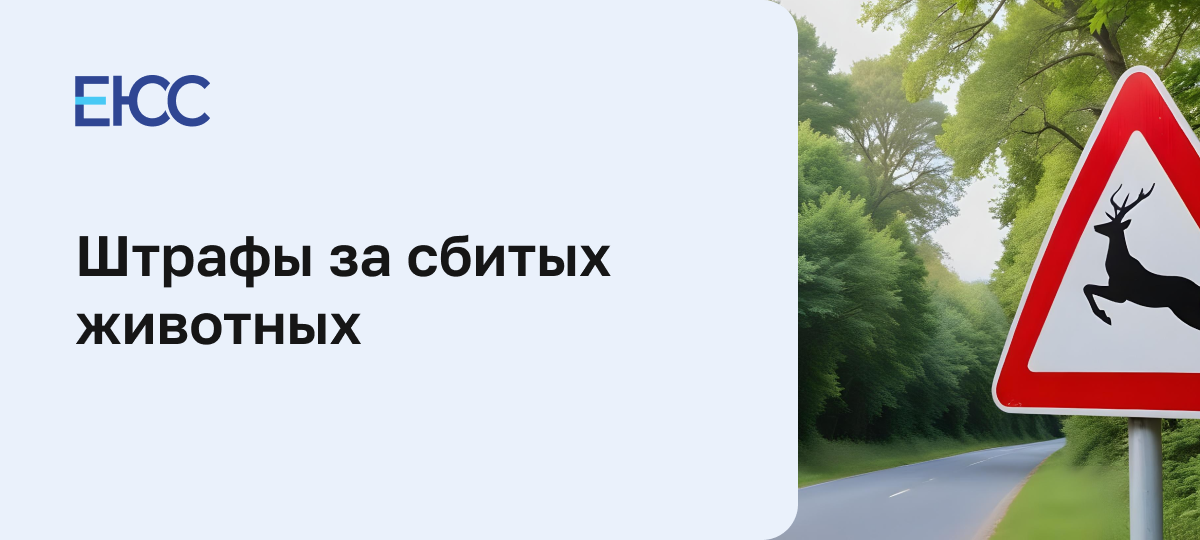 Штрафы за сбитых животных