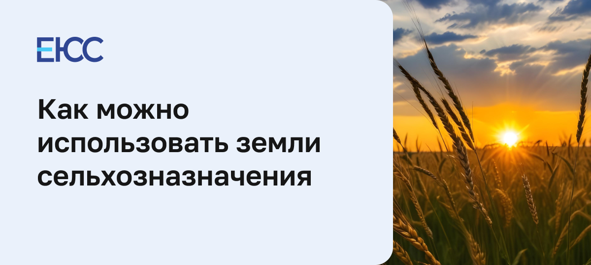 Как можно использовать земли сельхозназначения