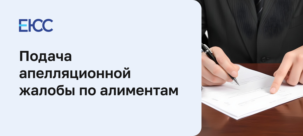Что делать, если бывший муж не платит алименты