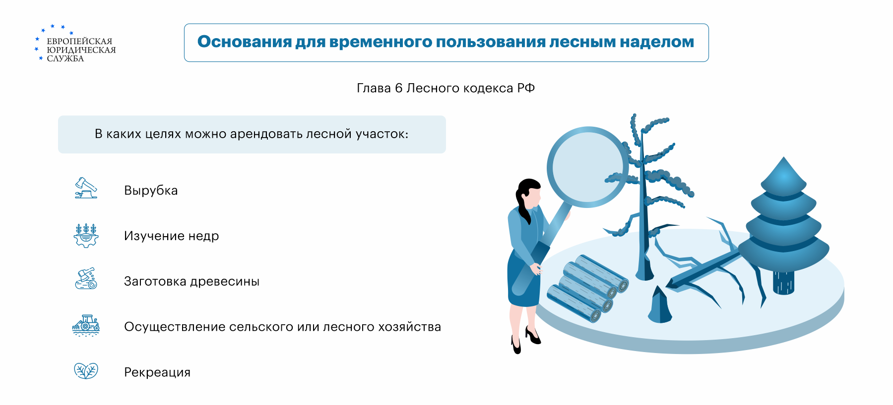 Договор аренды лесного участка: правовое регулирование, особенности составления