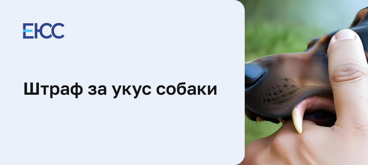 Штраф за укус собаки