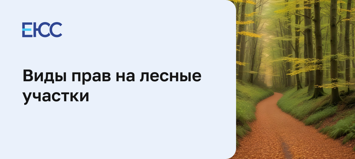 Виды прав на лесные участки