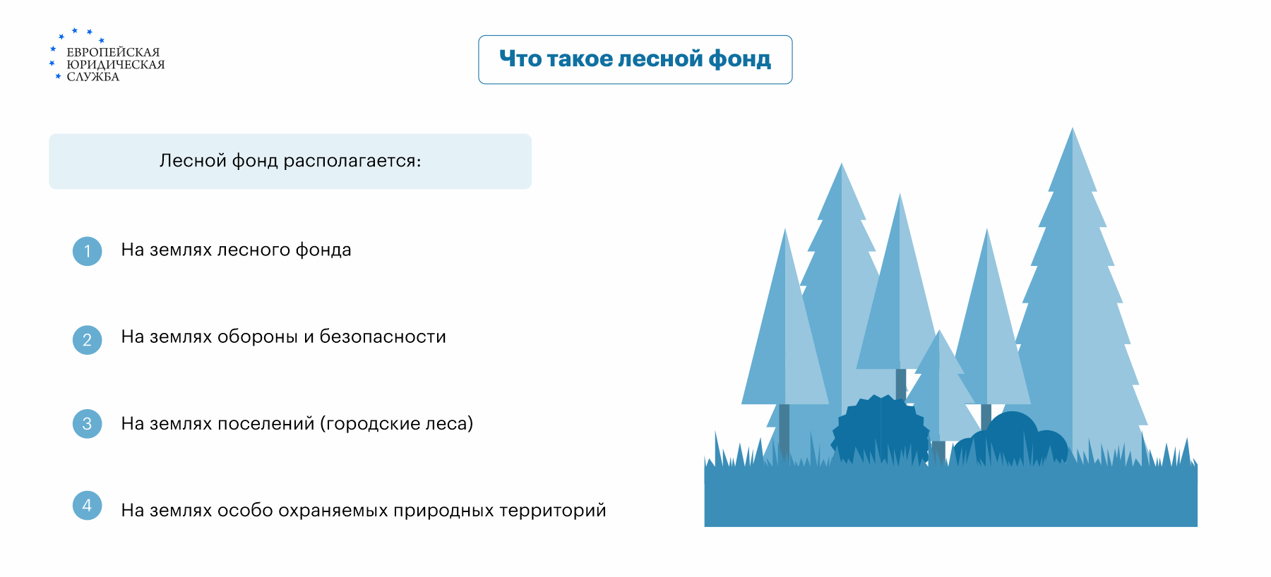 Лесной кодекс российской федерации