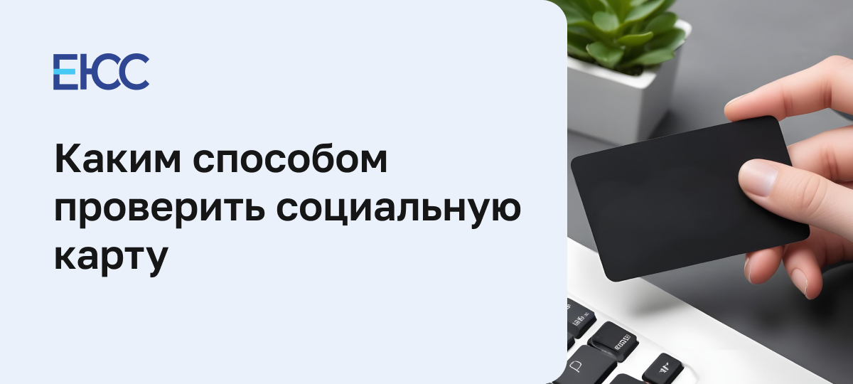 Как проверить социальную карту