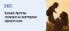 Можно ли купить машину на материнский капитал
