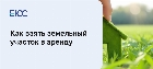 Как взять земельный участок в аренду — подробная пошаговая инструкция