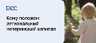 Региональный материнский капитал