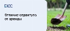 Отличие сервитута от аренды