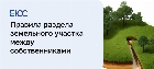 Правила раздела на доли земельного участка