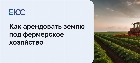 План действия для начинающего фермера — как арендовать землю под фермерское хозяйство