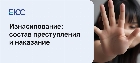 Статья 131 УК РФ - Изнасилование