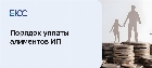 Алименты с ИП