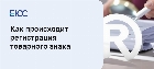Регистрация товарного знака