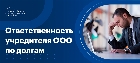 Отвественность учредителя ООО по долгам