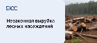 Незаконная вырубка лесов