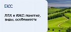 ЛПХ и ИЖС в чем разница