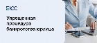 Упрощенная процедура банкротства юридического лица