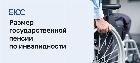 Размер государственной пенсии по инвалидности