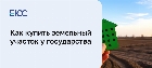 Пошаговая инструкция покупки земли у государства