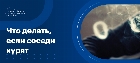 Как бороться с курящими соседями и куда жаловаться?