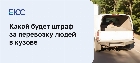 Разрешена ли перевозка людей в кузове грузового автомобиля
