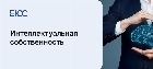 Интеллектуальная собственность