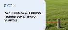 Вынос границ земельного участка