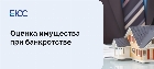 Как проводится оценка имущества должника