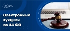 Электронный аукцион по 44-ФЗ