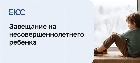Завещание на несовершеннолетнего ребенка