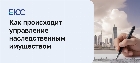Управление наследственным имуществом