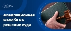 Апелляционная жалоба