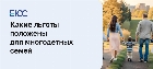 Льготы для многодетных семей