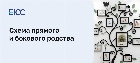 Схема прямого и бокового родства