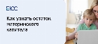 Как узнать остаток материнского капитала