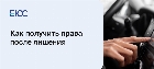 Пошаговая инструкция возврата прав после лишения