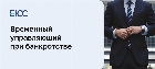 Временный управляющий при банкротстве