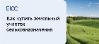 Как купить земельный участок сельхозназначения
