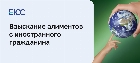 Взыскание алиментов с иностранного гражданина