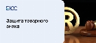 Защита товарного знака