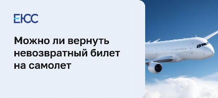 Можно ли вернуть невозвратный билет на самолет