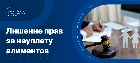 Лишение прав за неуплату алиментов