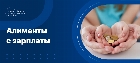 Алименты с грязной и с чистой зарплаты