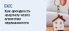Правила съема: как арендовать квартиру через агентство недвижимости