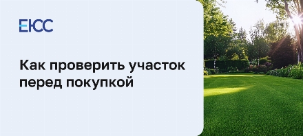 Как проверить земельный участок перед покупкой