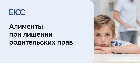 Алименты при лишении родительских прав